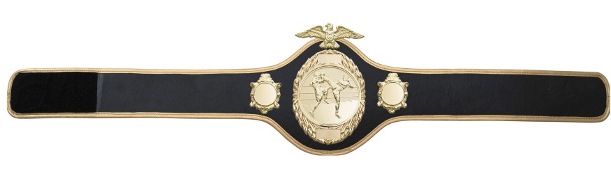 THAI BOXING CHAMPIONSHIP BELT - PRO288/G/TBOG - 10 COLOURS